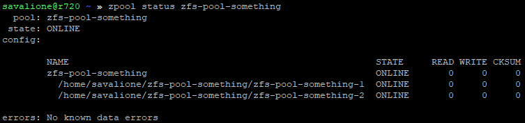 The 'zpool status' output now shows two files in the pool.