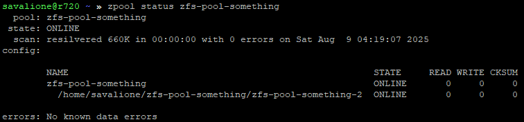 'zpool status' output after replacing an old file with a new, larger one.