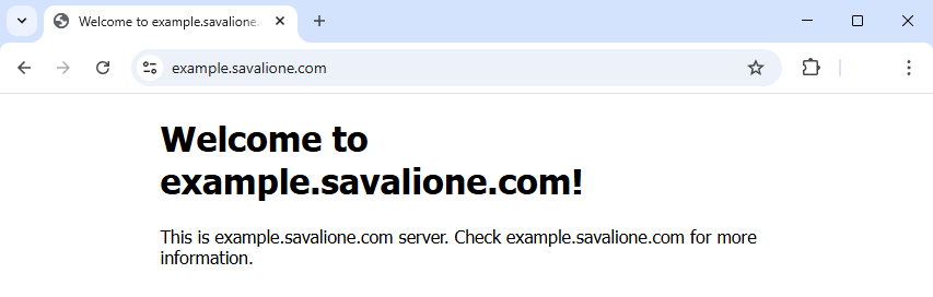 Final result showing the secured website in a Chrome browser Final result showing the secured website in a Chrome browser