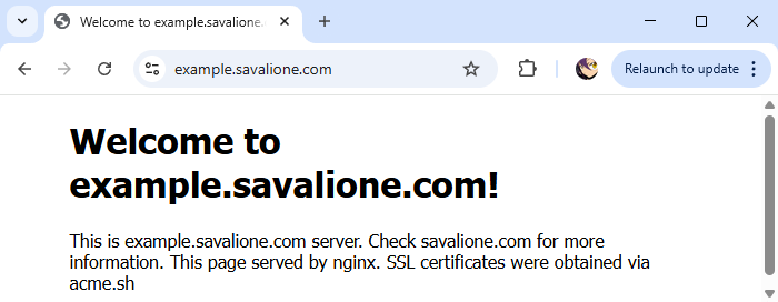Screenshot of an example webpage with correct SSL certificates obtained via acme.sh