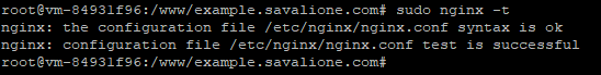 Checking the nginx configuration via 'nginx -t'