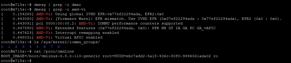 Linux terminal output showing IOMMU status
