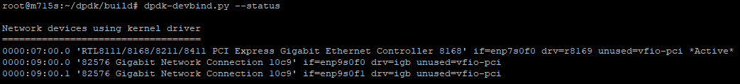 DPDK devices, vfio-pci is available