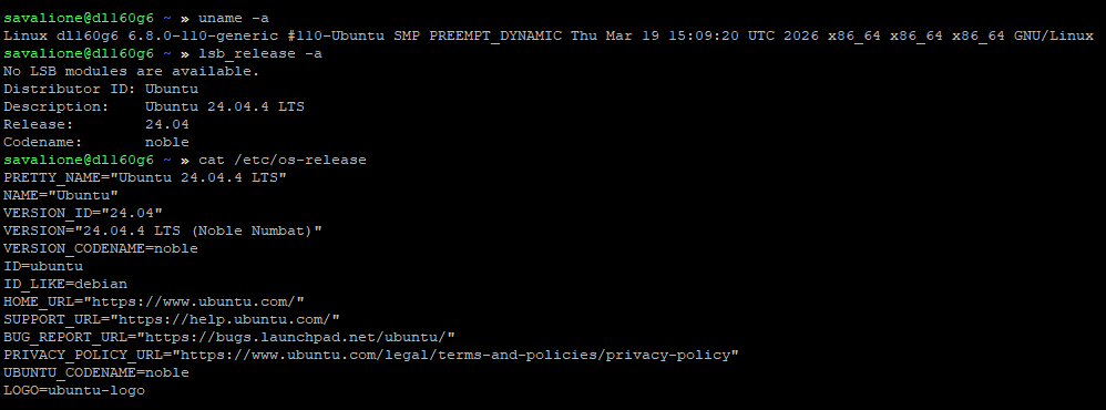 The initial state of the server