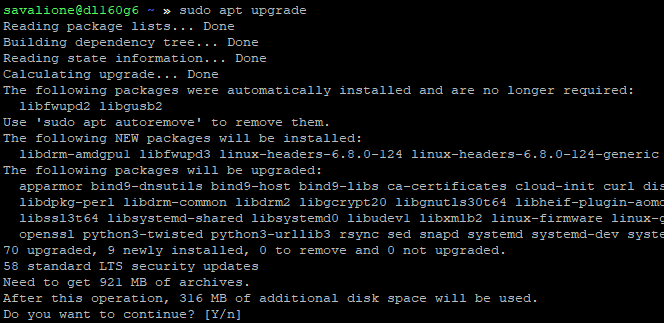 Upgrading all packages, apt waiting for user confirmation