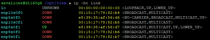 Network devices using Linux kernel driver with their MAC addresses