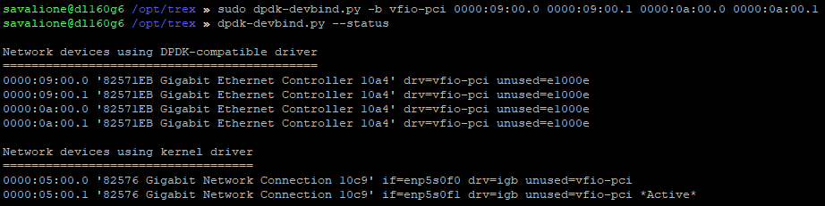 Network devices were successfully attached to the VFIO driver and are using DPDK-compatible driver