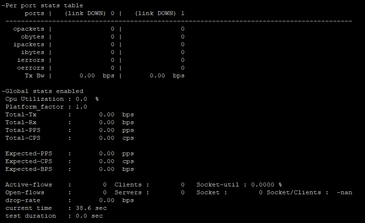 Running TRex in the first terminal