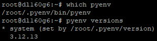 The right version of Python is in use