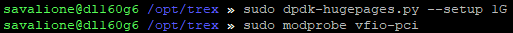 Allocating hugepages and loading the VFIO driver