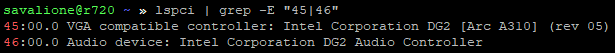 Output of the `lspci` command Terminal output of lspci showing the Intel Arc A310 GPU