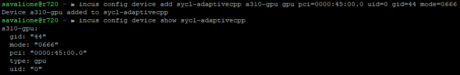 Passing through the Intel Arc A310 GPU, terminal output of incus devices Passing through the Intel Arc A310 GPU, terminal output of incus devices